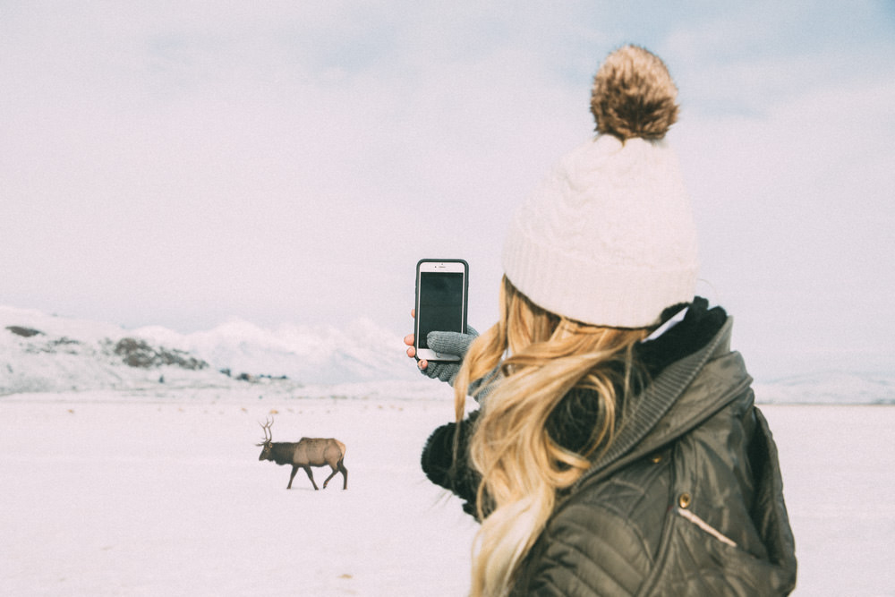 Caitlin Lindquist from the travel blog Dash of Darling shares her adventures in Jackson Hole Wyoming with Otterbox.