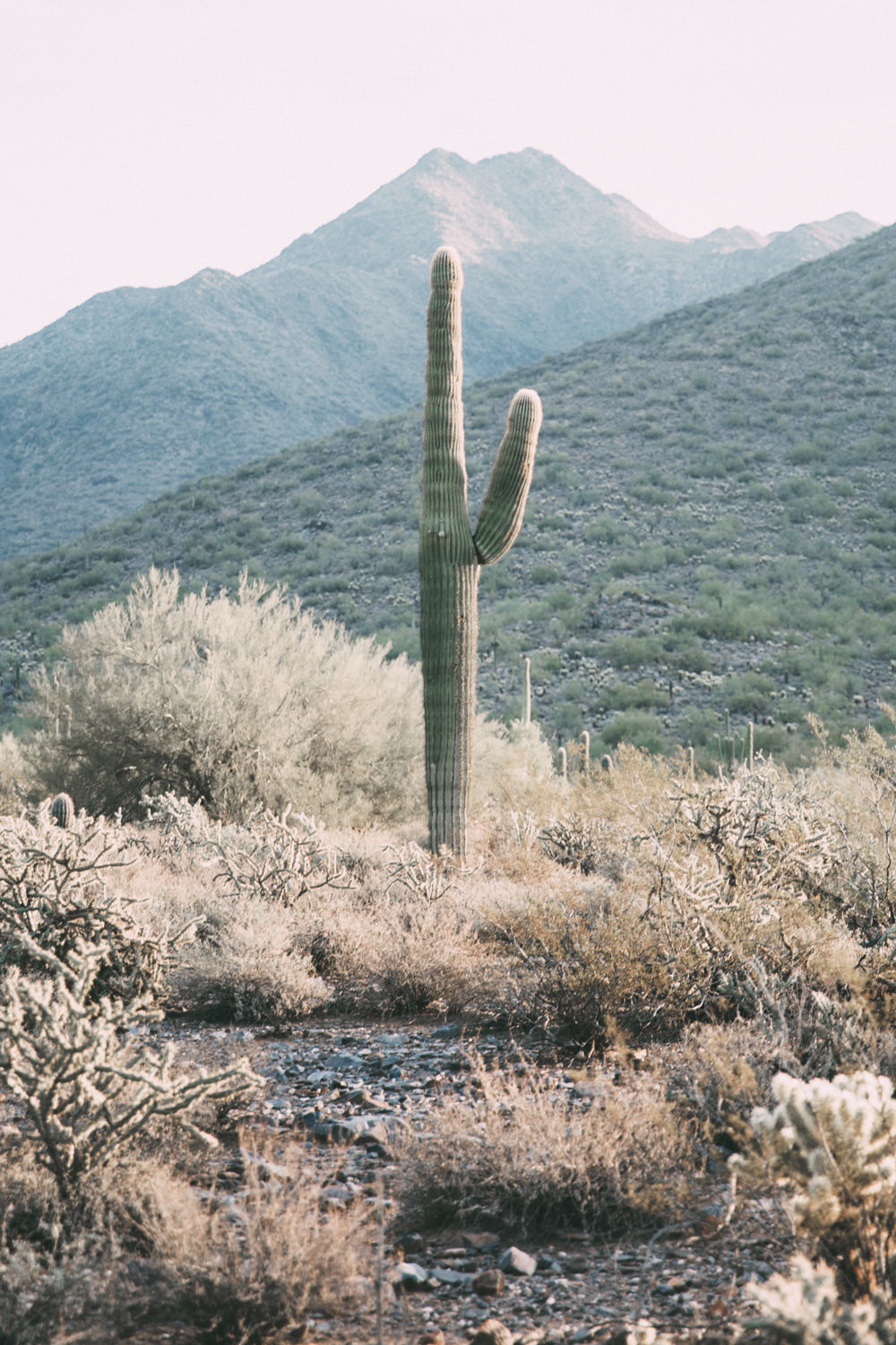Dash of Darling shares a quick 24 hour guide to Phoenix and Scottsdale Arizona with Uber.