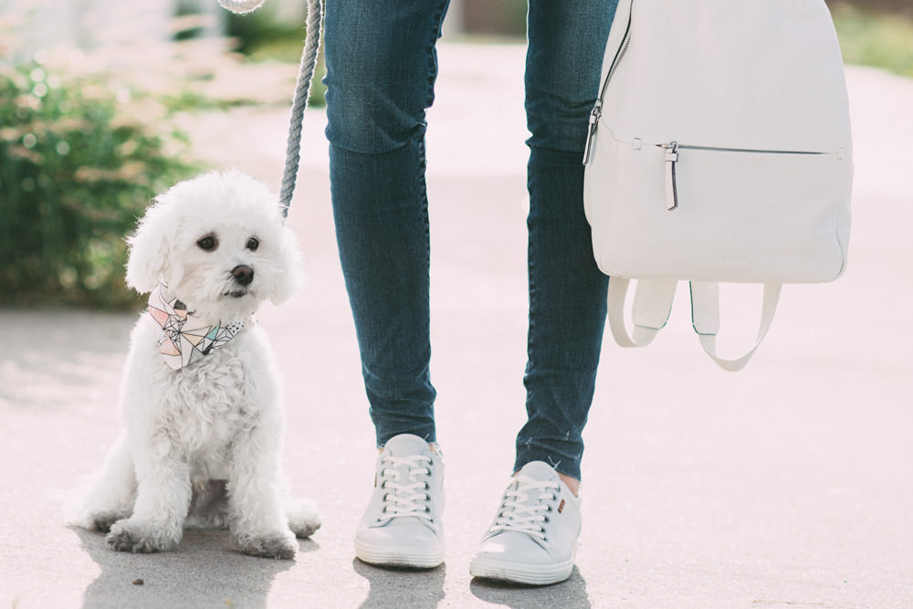 Caitlin Lindquist of the Arizona fashion blog Dash of Darling shares a casual outfit wearing white spring sneakers and a white backpack.