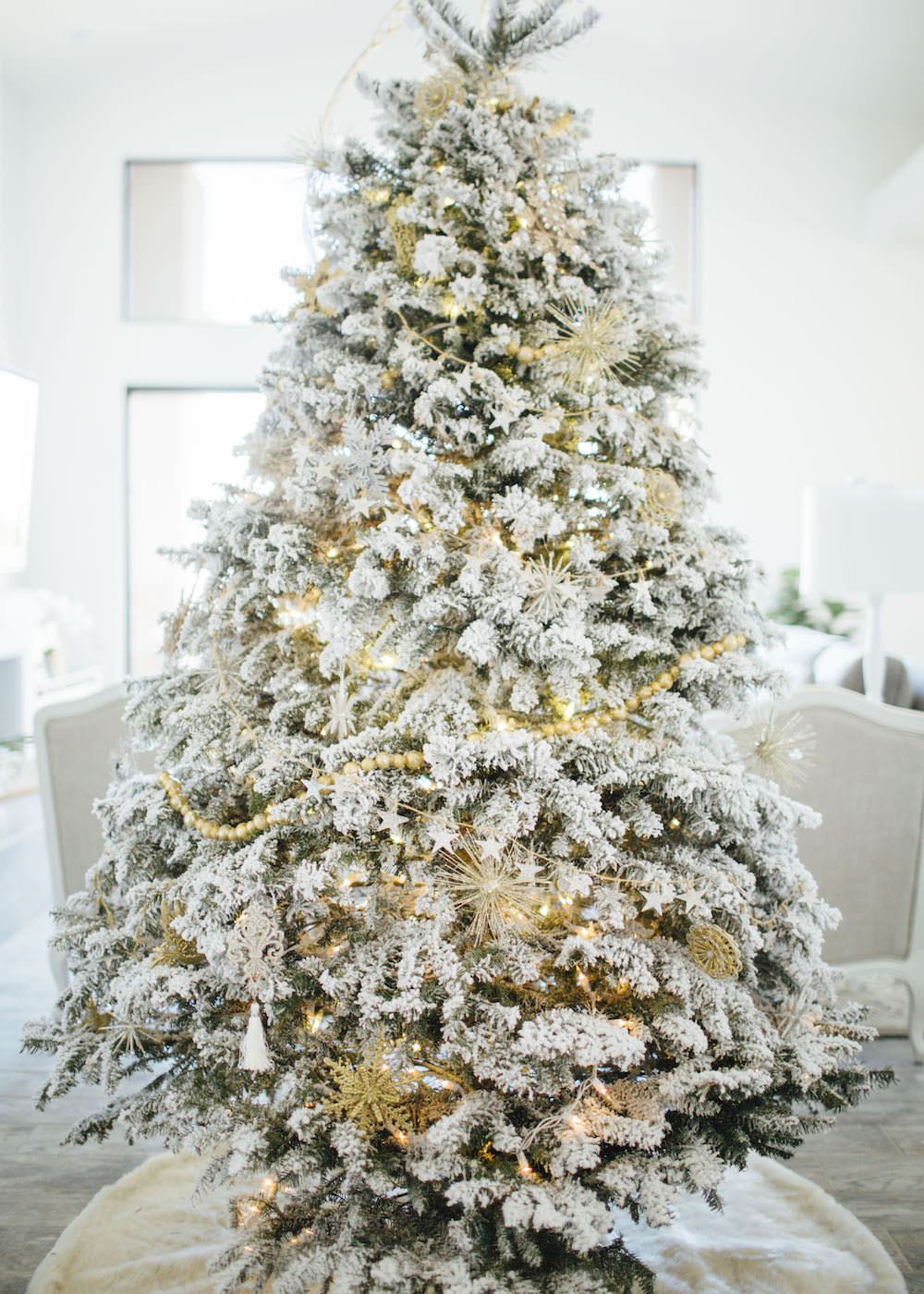 Dash of Darling | Arizona Blogger Christmas Tree Shopping