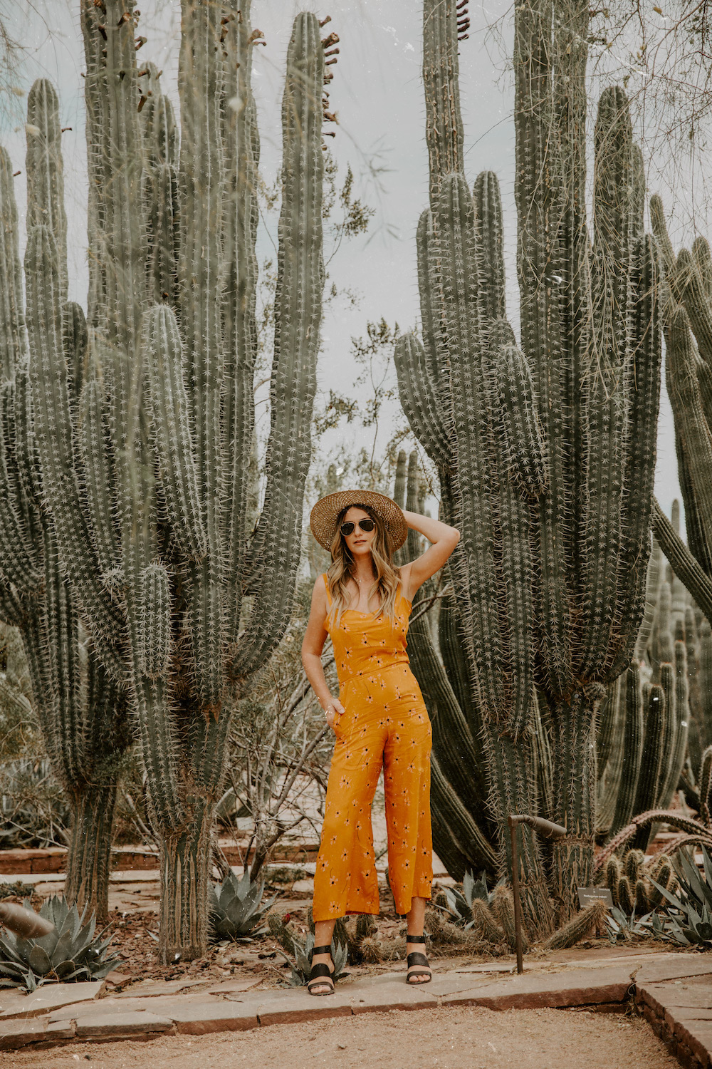 Dash of Darling | Planning your visit to the Desert Botanical Garden in Phoenix