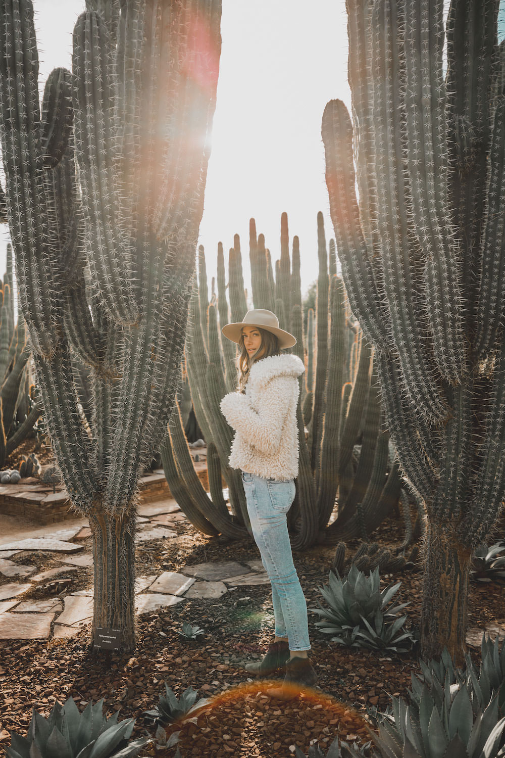 Dash of Darling | Phoenix Desert Botanical Gardens